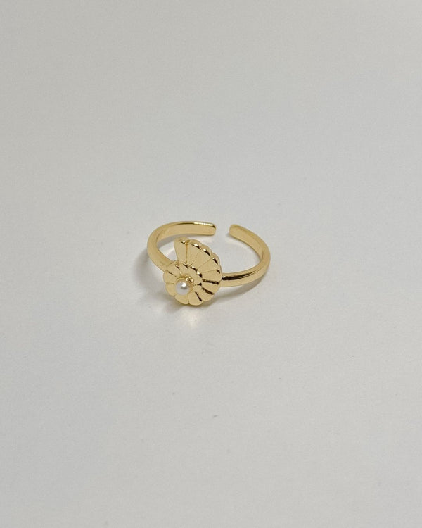 Anillo Mar