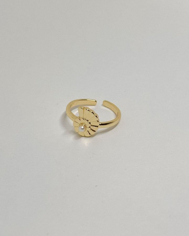 Anillo Mar