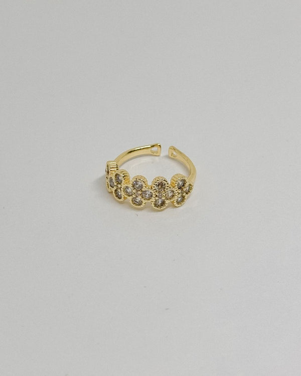 Anillo Intuicion