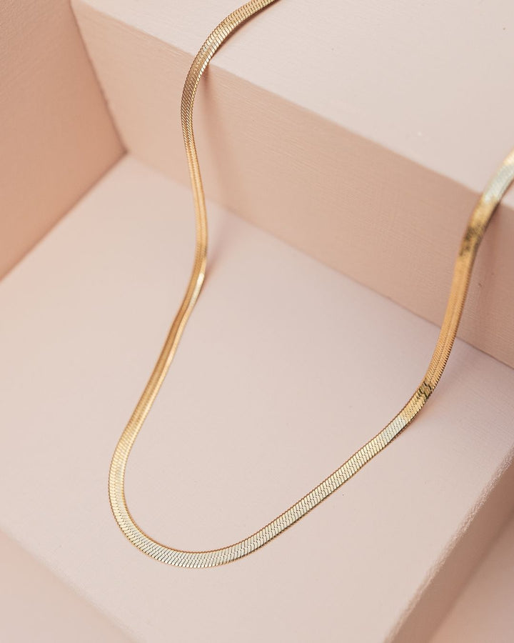 Collar Resiliencia